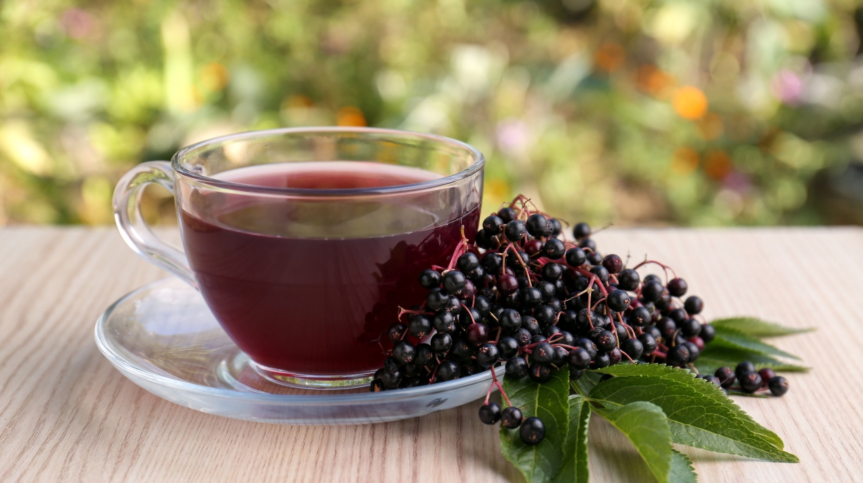 elderberry for kids