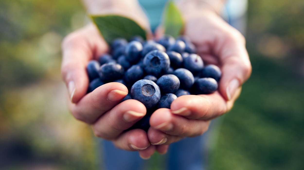 are blueberries good for weight loss